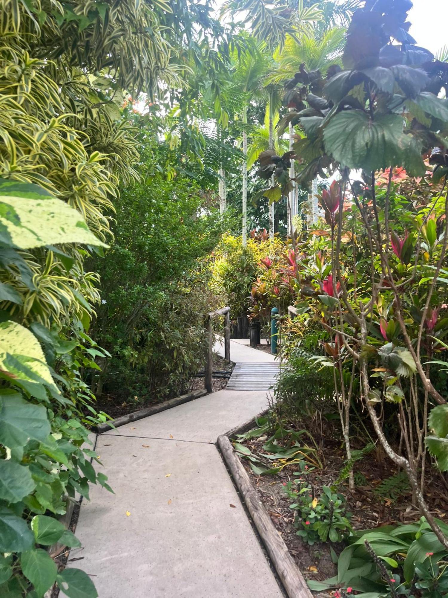 The Villas פאלם קוב מראה חיצוני תמונה